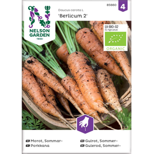 Frø sommergulrot Berlicum 2 økologisk