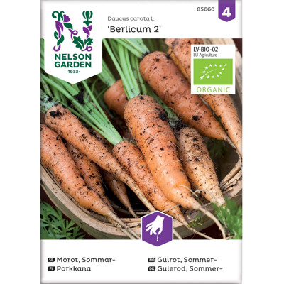 Frø sommergulrot Berlicum 2 økologisk