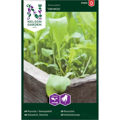 Frø ruccola Venetia