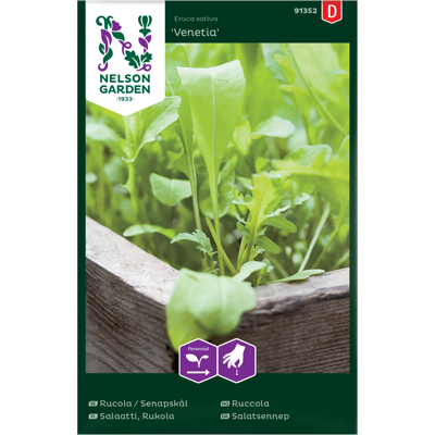 Frø ruccola Venetia