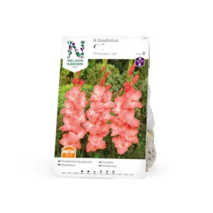 Vårløk gladiol Princess Lee