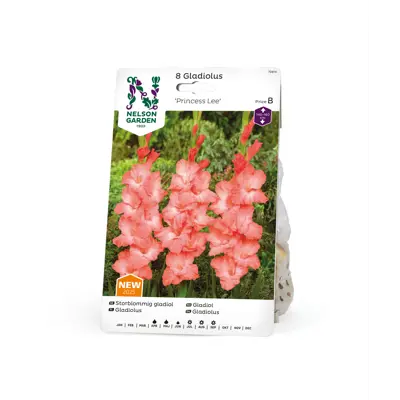 Vårløk gladiol Princess Lee