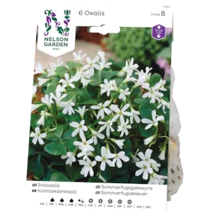 Vårløk sommerfuglgjøkesyre