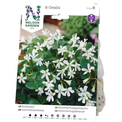 Vårløk sommerfuglgjøkesyre