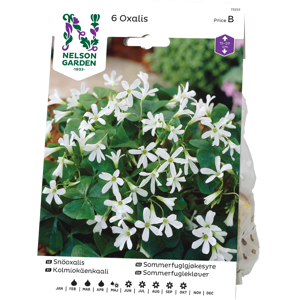 Vårløk sommerfuglgjøkesyre