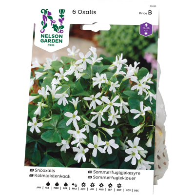 Vårløk sommerfuglgjøkesyre