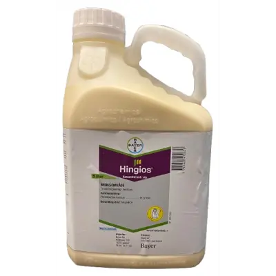 Hingios OD 75 5 L