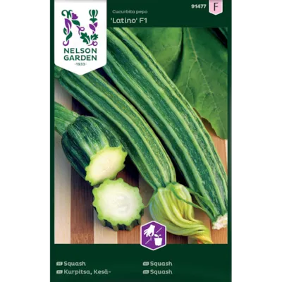 Frø squash Latino