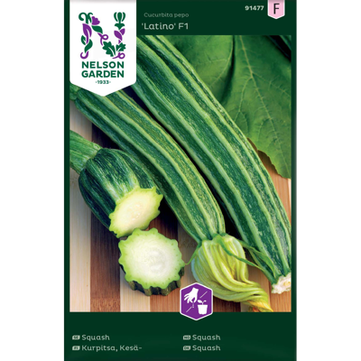 Frø squash Latino