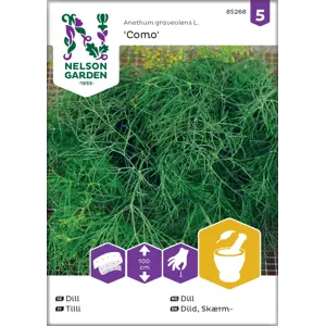 Frø dill Como såbånd