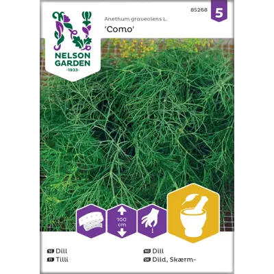 Frø dill Como såbånd