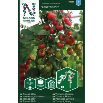 Frø tomat høy Lovertino