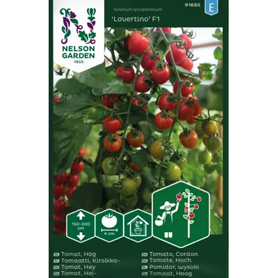 Frø tomat høy Lovertino