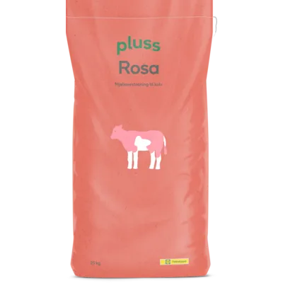Rosa 20 kg