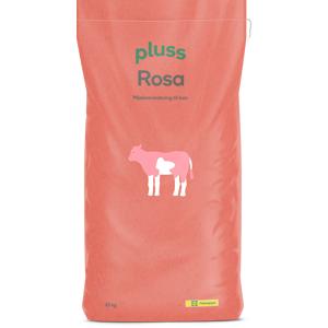 Rosa 20 kg