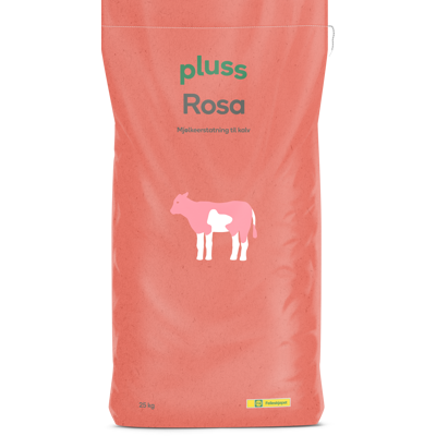 Rosa 20 kg