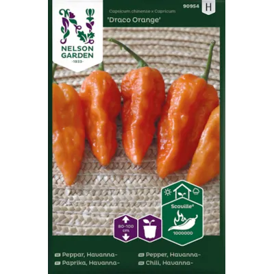 Frø havannapepper Draco Orange