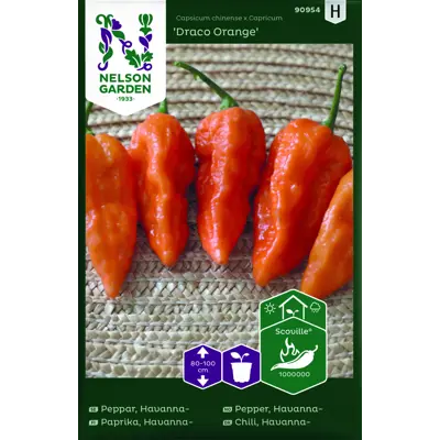 Frø havannapepper Draco Orange