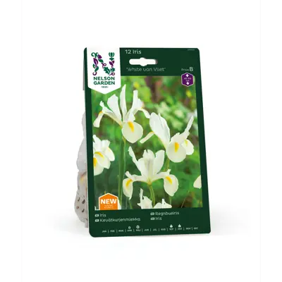 Høstløk regnbueiris White van Vliet