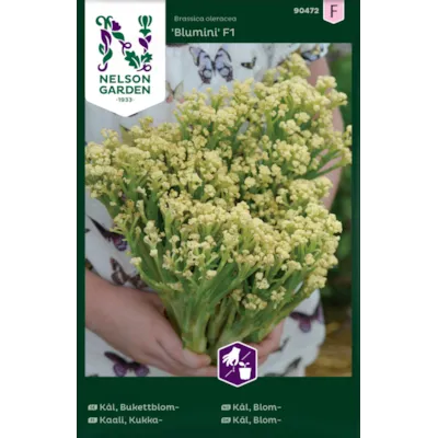 Frø blomkål Blumini