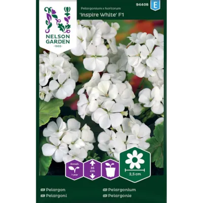 Frø pelargonium Inspire White