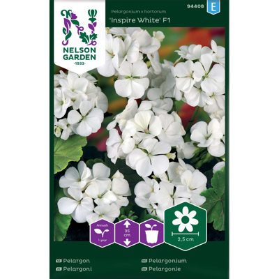 Frø pelargonium Inspire White
