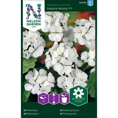 Frø pelargonium Inspire White, bilde 2