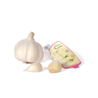 Setteløk hvitløk Aulxito