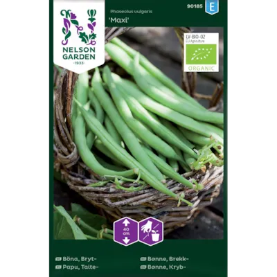 Frø brekkbønne Maxi