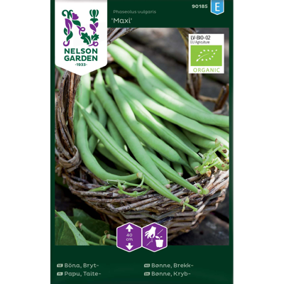 Frø brekkbønne Maxi