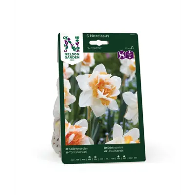 Høstløk edelnarsiss Replete