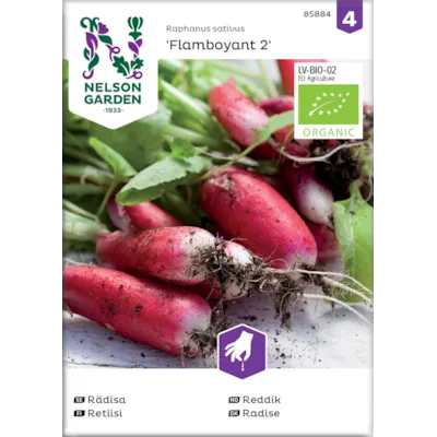 Frø reddik Flamboyant 2 økologisk
