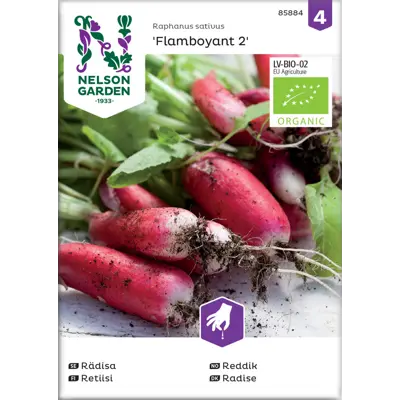 Frø reddik Flamboyant 2 økologisk