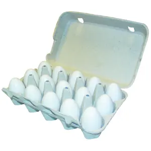 Eggkartong for 15 egg