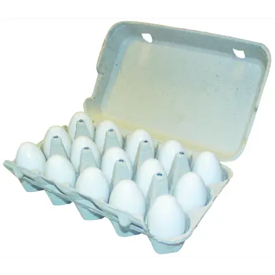 Eggkartong for 15 egg