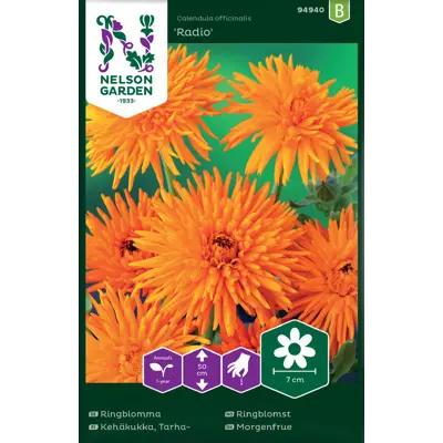 Frø ringblomst Radio