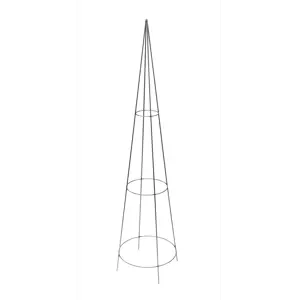 Espalier obelisk rust H80 cm