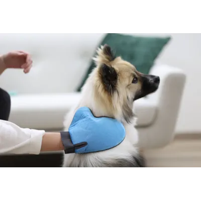 Groominghanske, bilde 3