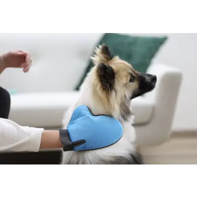 Groominghanske, bilde 3