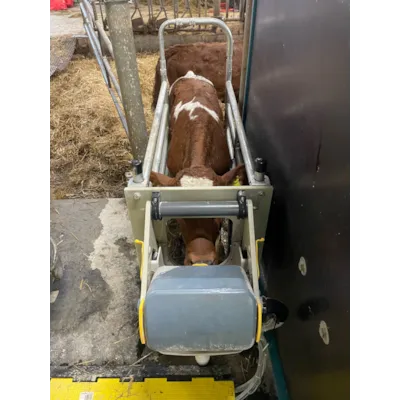 Hygieneboks, bilde 3