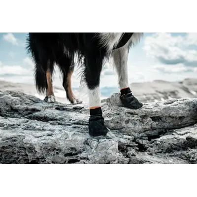 Potesokker Protector Bootie blå 4 pk, bilde 3