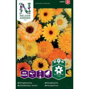 Frø ringblomst Big Pack
