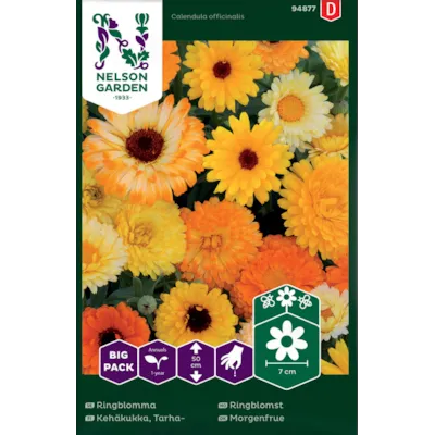 Frø ringblomst Big Pack