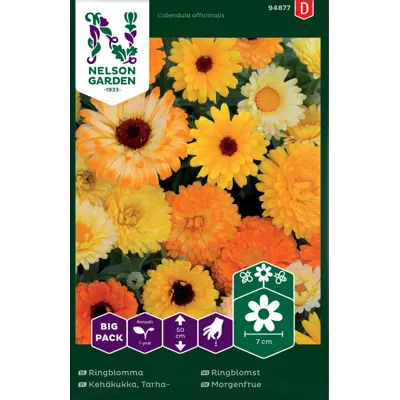 Frø ringblomst Big Pack