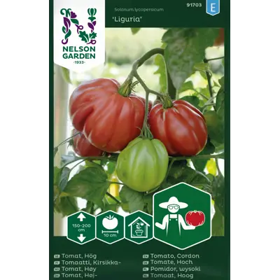 Frø tomat høy Liguria