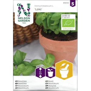 Frø basilikum Loki økologisk