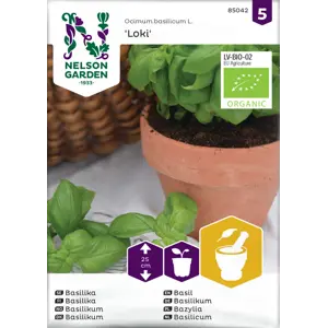 Frø basilikum Loki økologisk