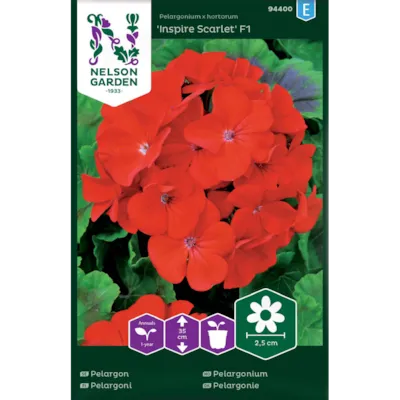 Frø pelargonium Inspire Scarlet