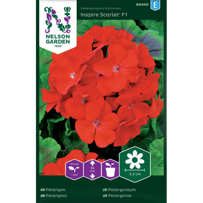 Frø pelargonium Inspire Scarlet