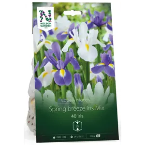 Høstløk regnbueiris Spring breeze Mix
